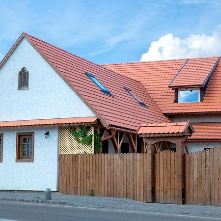 Pepi Vendeghaz - Casa De Oaspeti Pepi Joseni  Exteriér fotografie